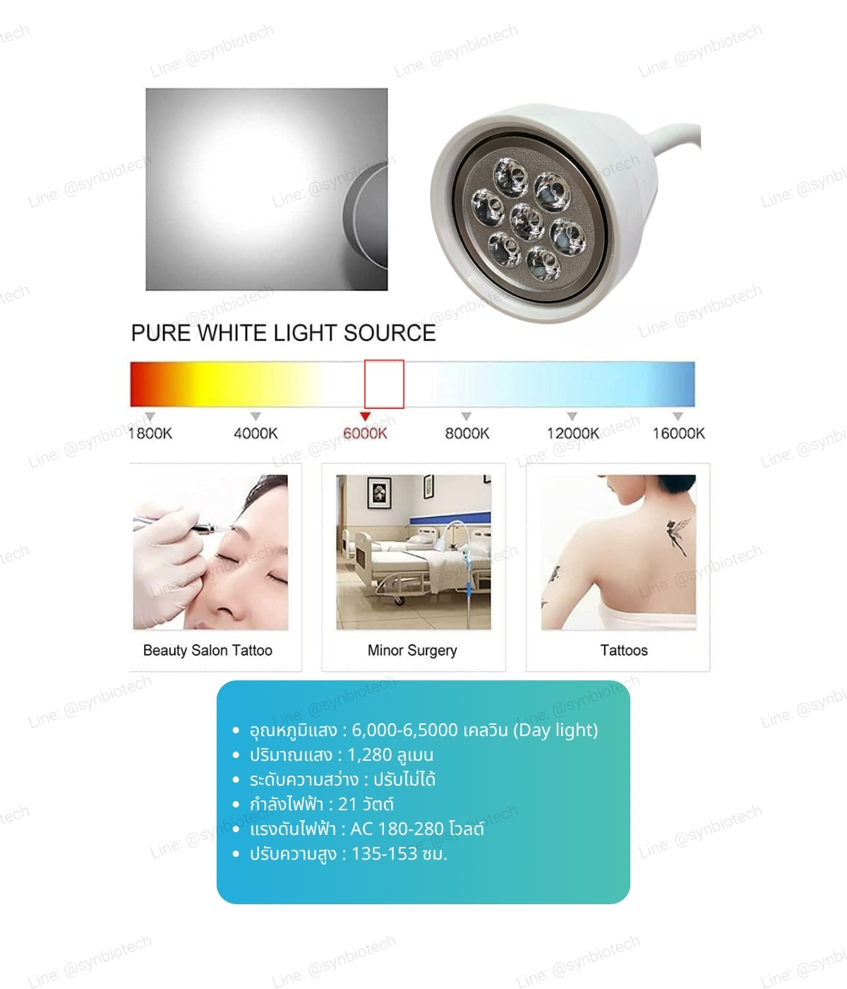 โคมไฟส่องตรวจ