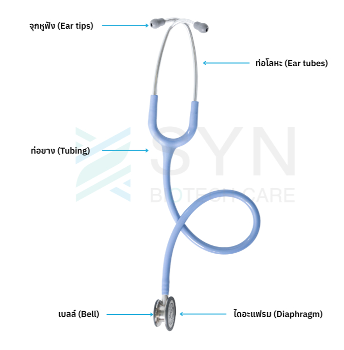 ส่วนประกอบสำคัญของหูฟังแพทย์