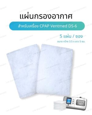 แผ่นกรองอากาศ-DS-6